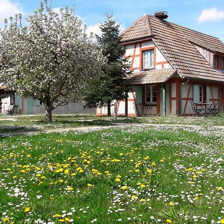 אונגרסהיים Les Loges De L'Ecomusee D'Alsace מראה חיצוני תמונה