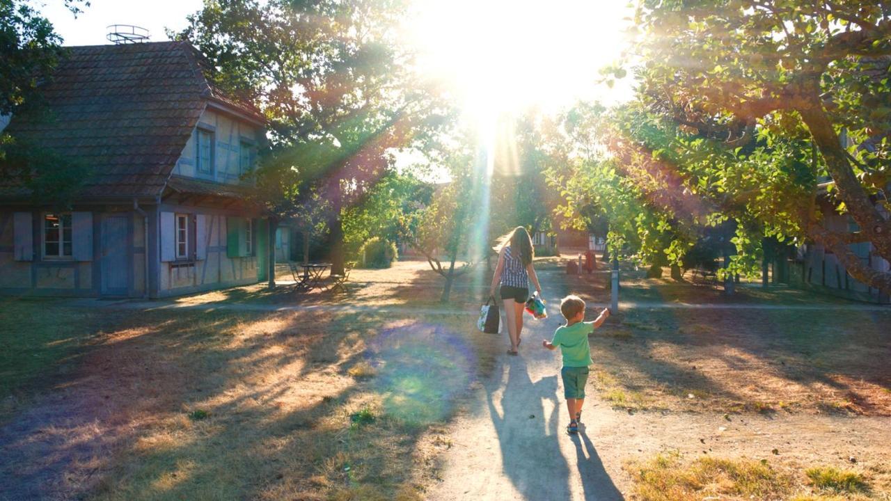 אונגרסהיים Les Loges De L'Ecomusee D'Alsace מראה חיצוני תמונה