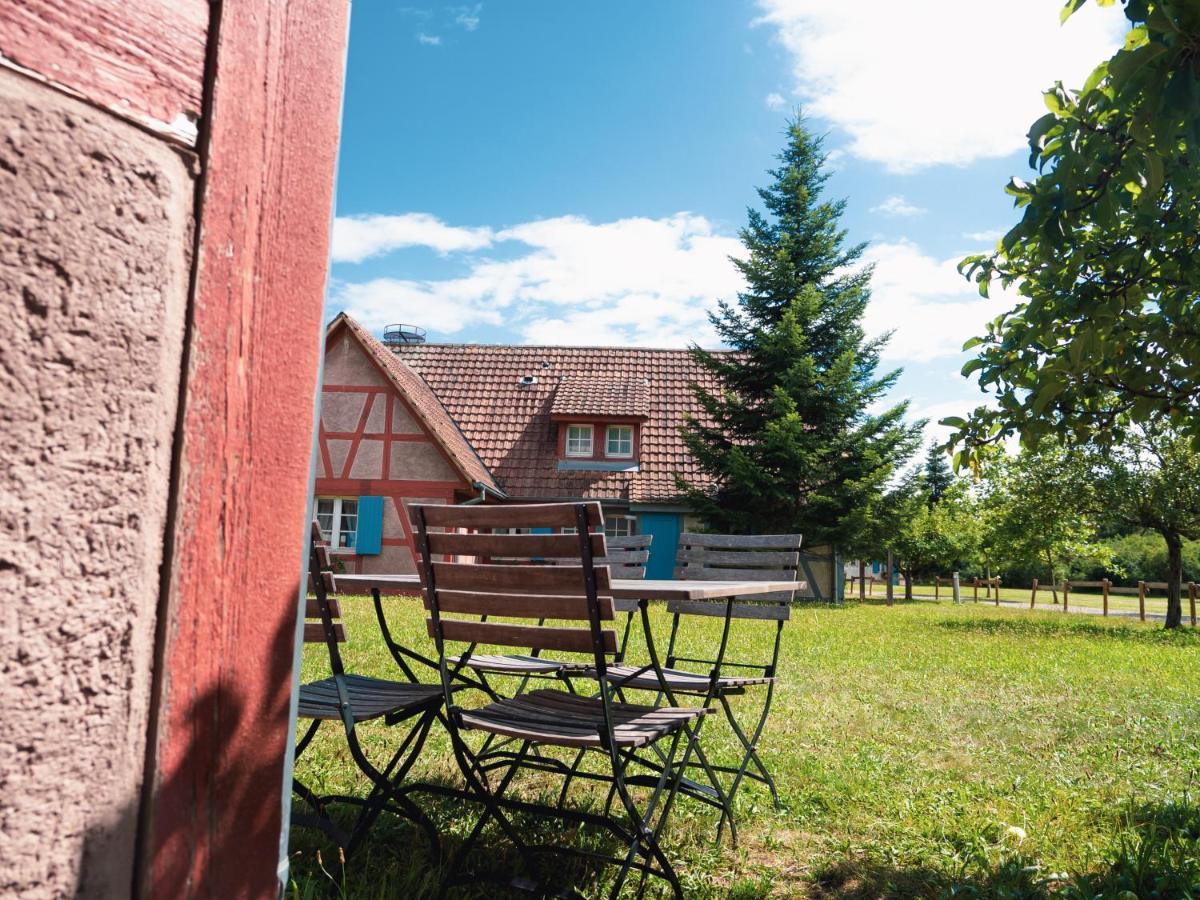 אונגרסהיים Les Loges De L'Ecomusee D'Alsace מראה חיצוני תמונה