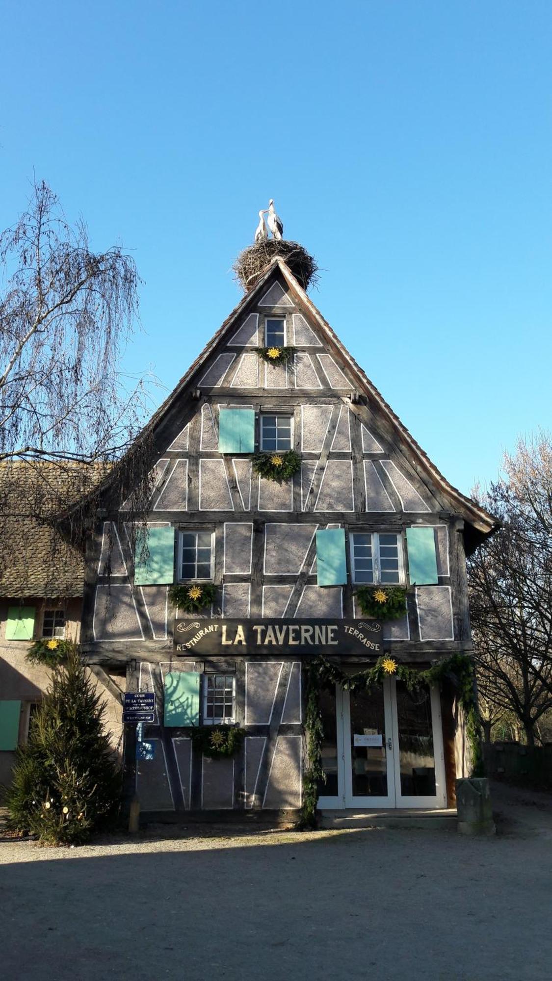 אונגרסהיים Les Loges De L'Ecomusee D'Alsace מראה חיצוני תמונה