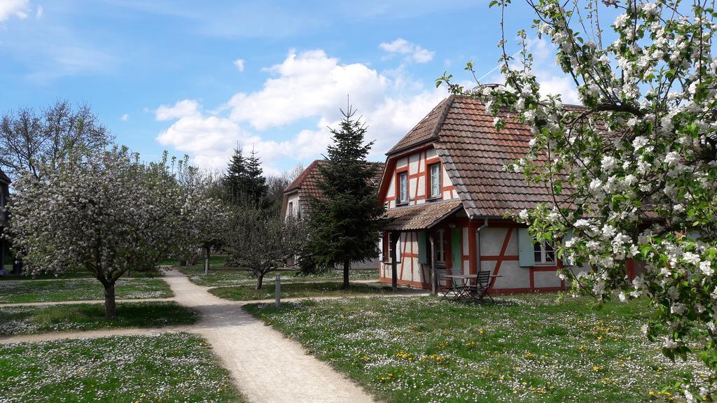 אונגרסהיים Les Loges De L'Ecomusee D'Alsace מראה חיצוני תמונה