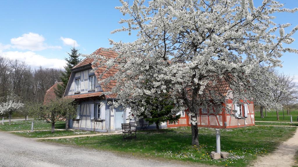 אונגרסהיים Les Loges De L'Ecomusee D'Alsace מראה חיצוני תמונה