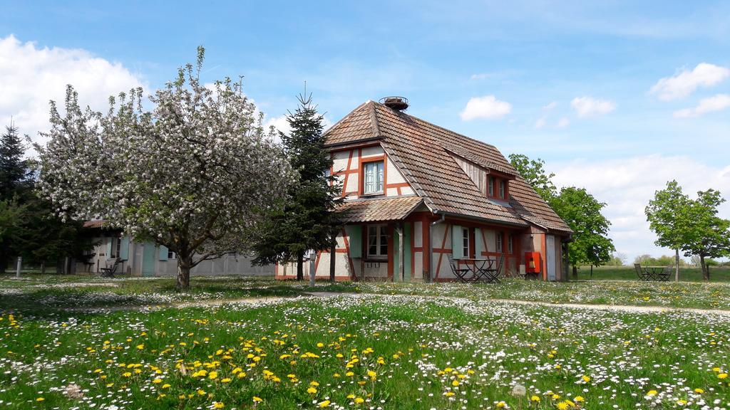אונגרסהיים Les Loges De L'Ecomusee D'Alsace מראה חיצוני תמונה